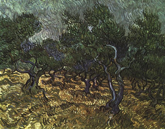 Vincent Van Gogh The Olive Grove oil painting image